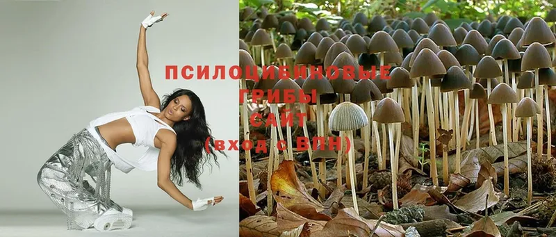 МЕГА сайт  Балабаново  Галлюциногенные грибы MAGIC MUSHROOMS  как найти  